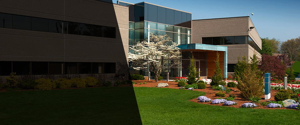 Hornell Landscapers
