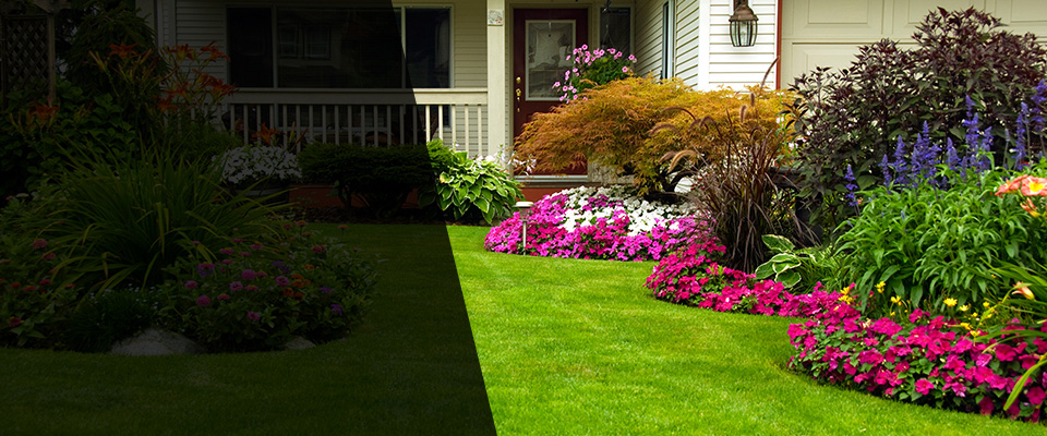 Hornell Landscapers