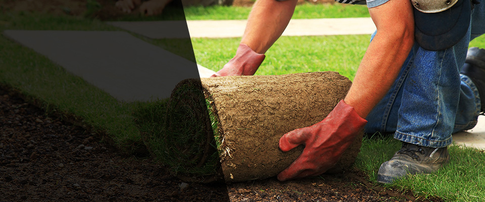 Hornell Landscapers